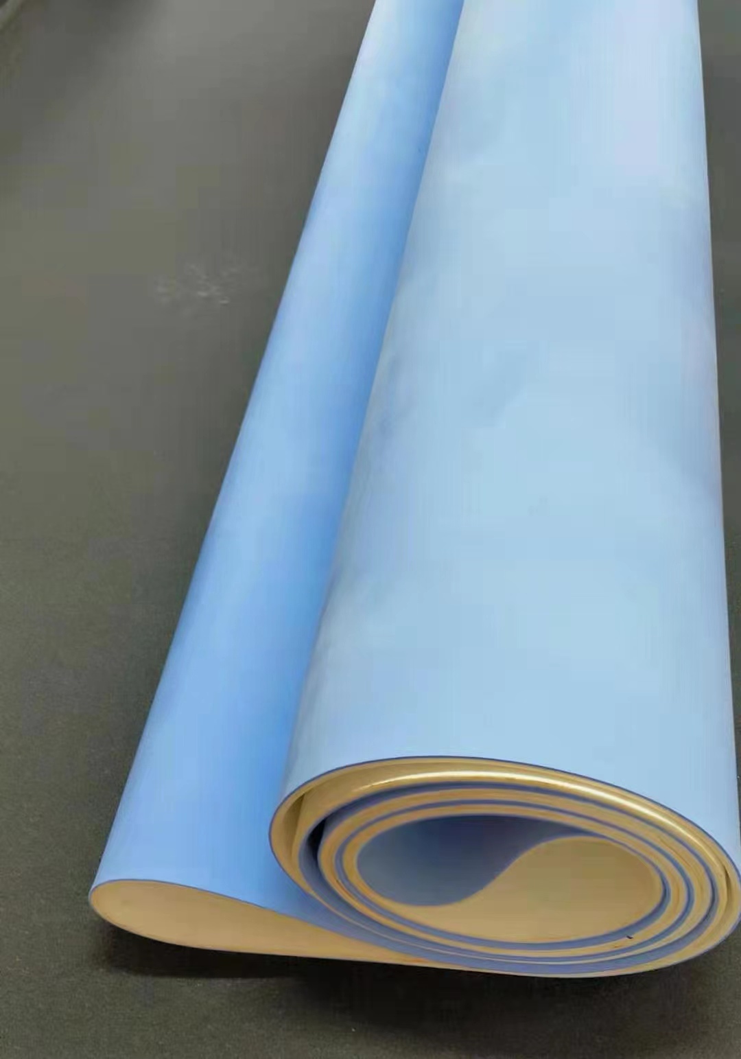 Leather conveyor belt for coating machine